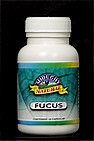 Fucus